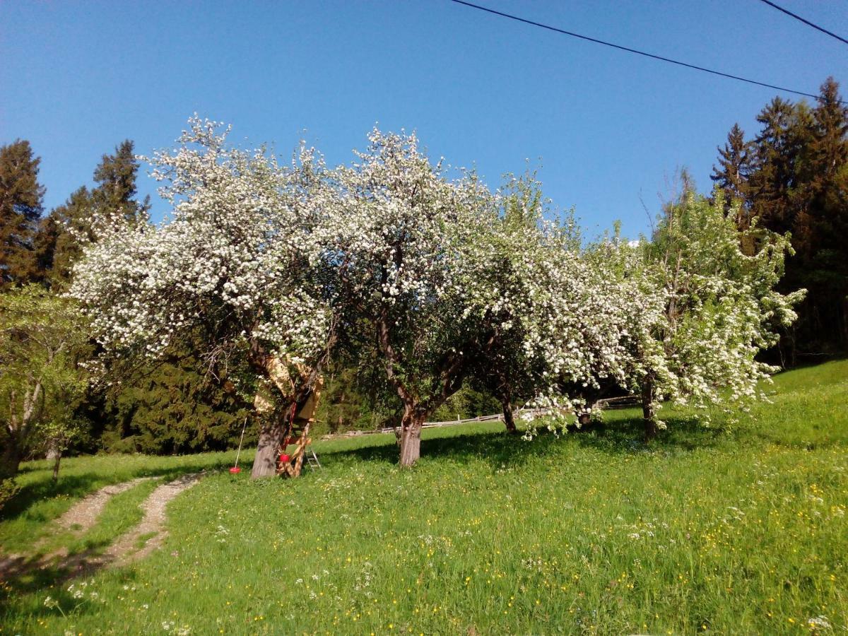 דירות היימינג Silzerhof מראה חיצוני תמונה